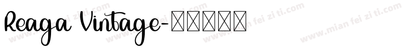 Reaga Vintage字体转换